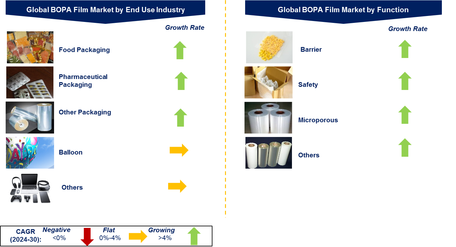 BOPA Film Market by Segment